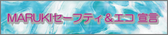 �G�R���i